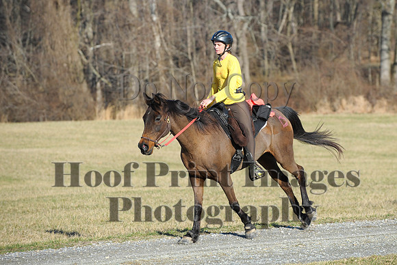 Chesapeake(4-4-15)0039