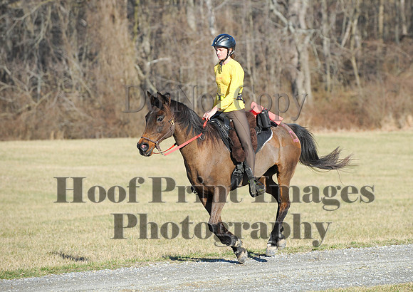 Chesapeake(4-4-15)0040