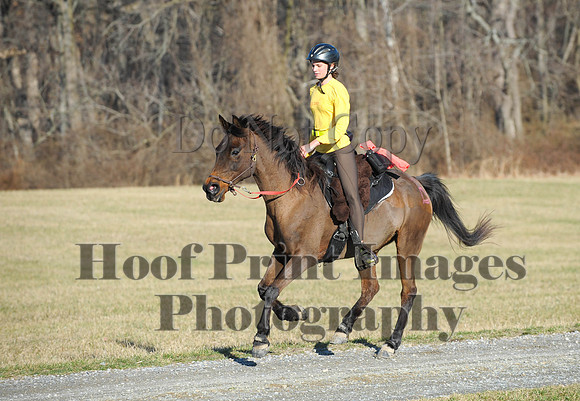 Chesapeake(4-4-15)0041