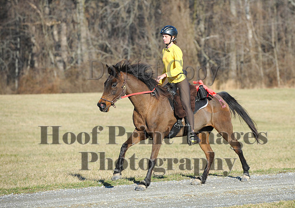 Chesapeake(4-4-15)0042