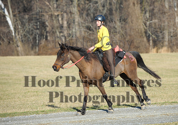Chesapeake(4-4-15)0043