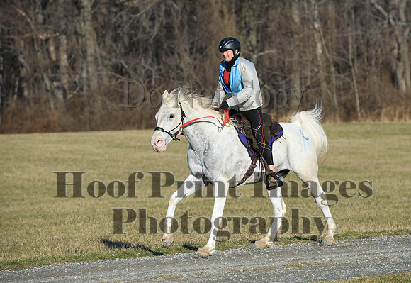 Chesapeake(4-4-15)0044