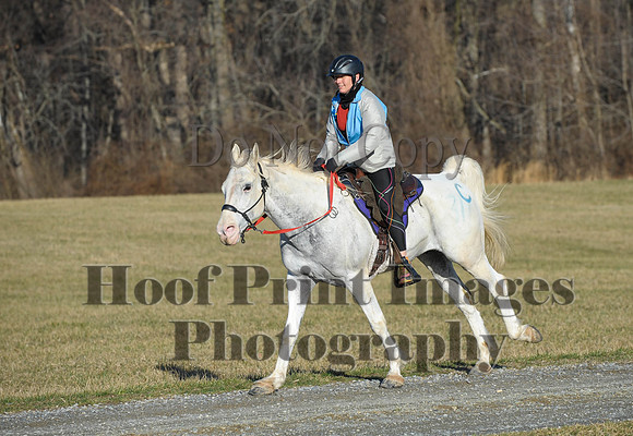 Chesapeake(4-4-15)0045