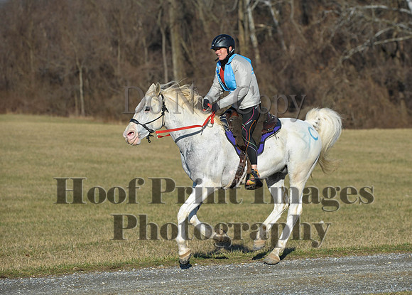 Chesapeake(4-4-15)0048