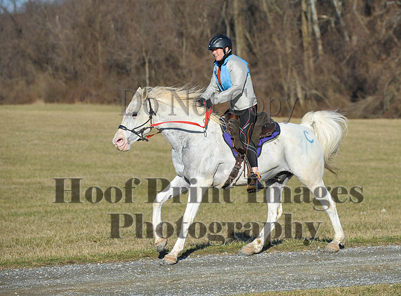 Chesapeake(4-4-15)0049