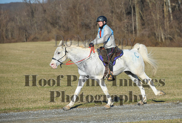 Chesapeake(4-4-15)0050