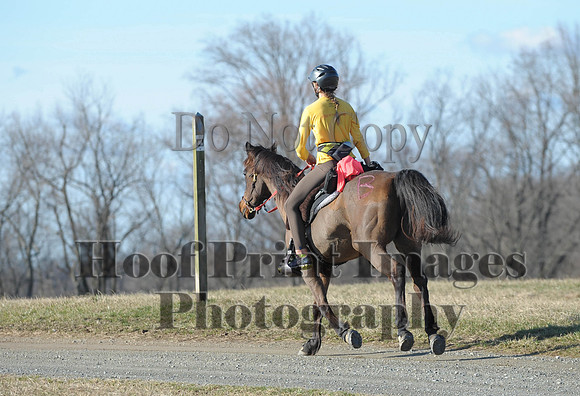Chesapeake(4-4-15)0051
