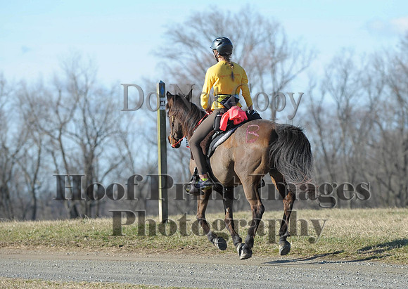 Chesapeake(4-4-15)0052