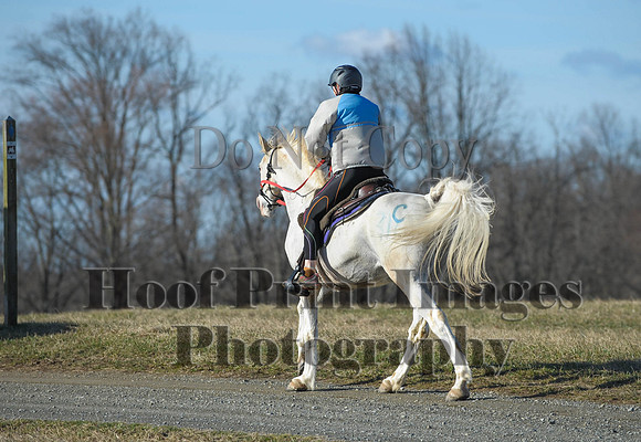 Chesapeake(4-4-15)0053