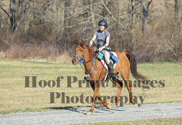 Chesapeake(4-4-15)0054