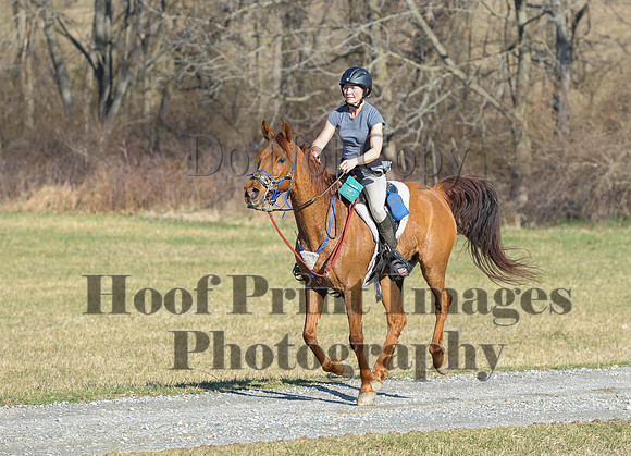 Chesapeake(4-4-15)0055