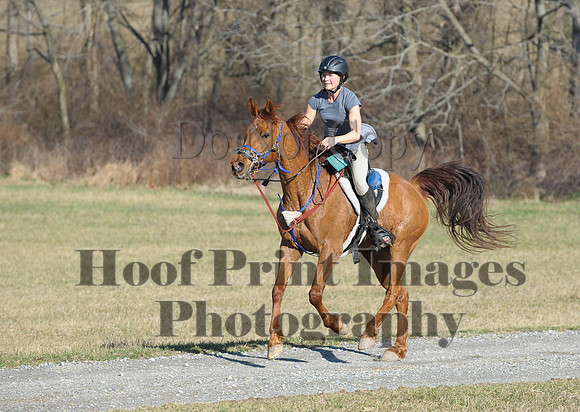Chesapeake(4-4-15)0056
