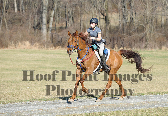 Chesapeake(4-4-15)0057