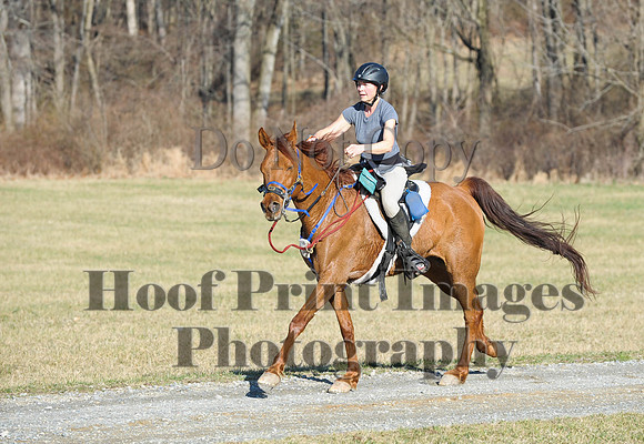 Chesapeake(4-4-15)0058