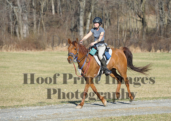 Chesapeake(4-4-15)0059