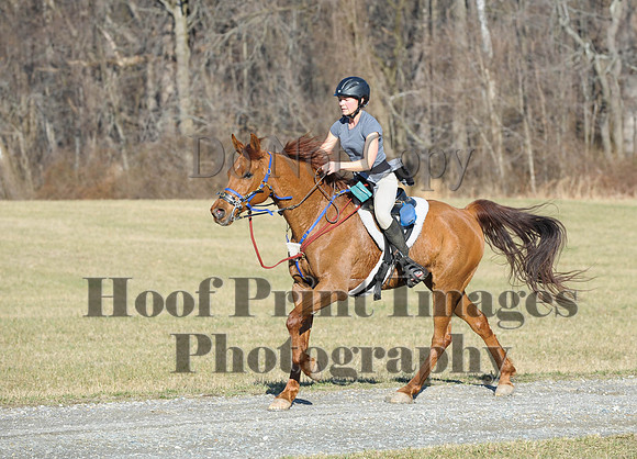 Chesapeake(4-4-15)0060