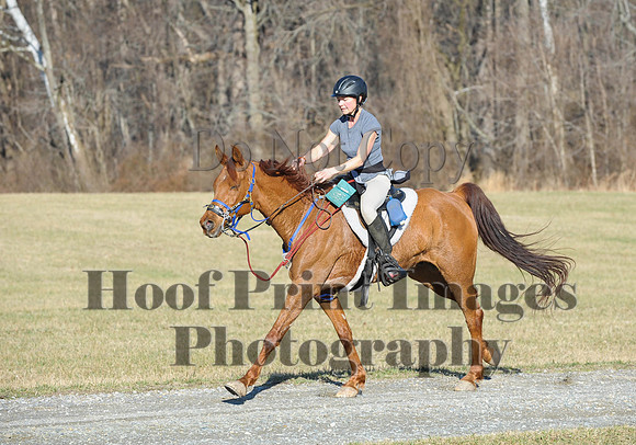 Chesapeake(4-4-15)0061