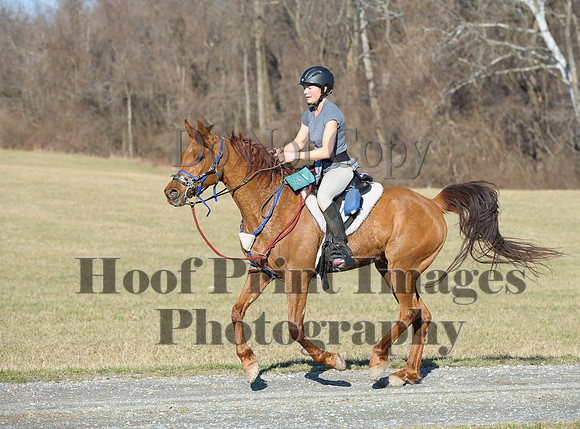 Chesapeake(4-4-15)0062