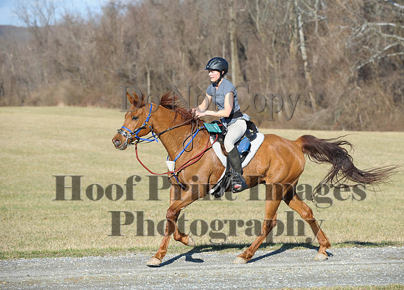 Chesapeake(4-4-15)0063