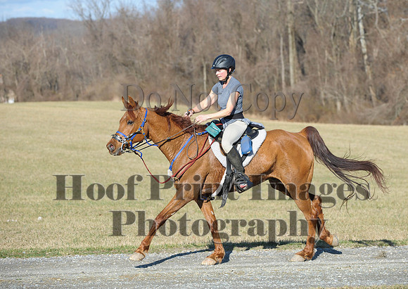 Chesapeake(4-4-15)0064