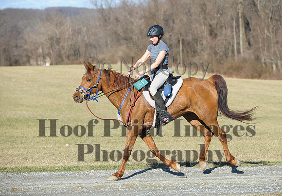 Chesapeake(4-4-15)0065