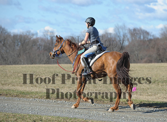 Chesapeake(4-4-15)0066