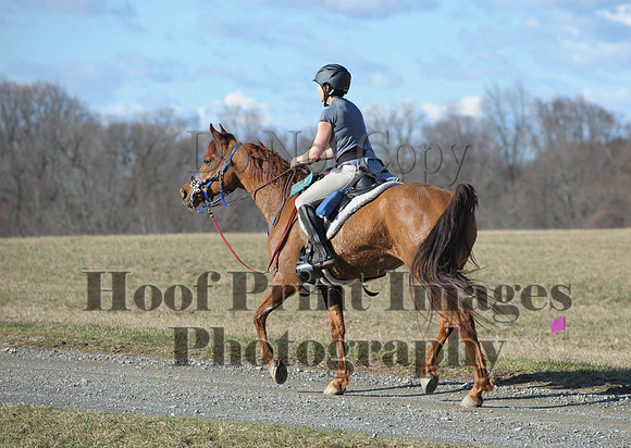 Chesapeake(4-4-15)0067