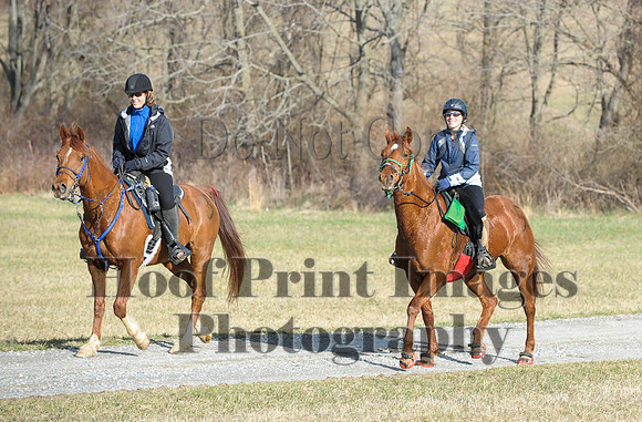 Chesapeake(4-4-15)0068