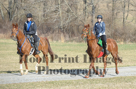 Chesapeake(4-4-15)0069
