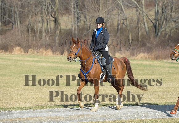 Chesapeake(4-4-15)0070