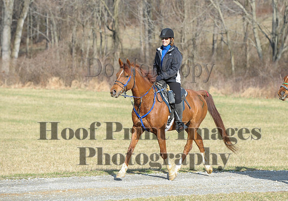 Chesapeake(4-4-15)0071