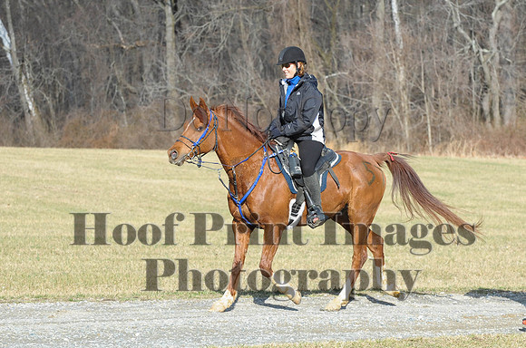 Chesapeake(4-4-15)0072