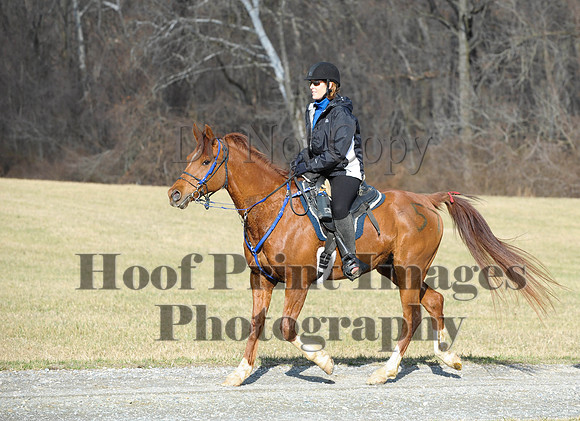 Chesapeake(4-4-15)0073