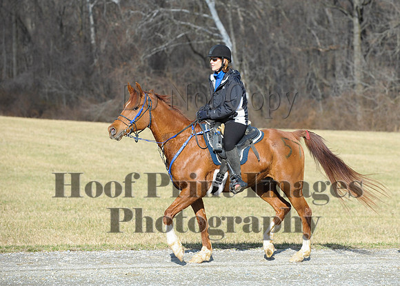 Chesapeake(4-4-15)0074