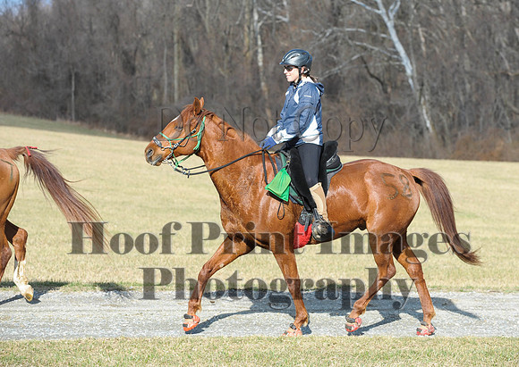 Chesapeake(4-4-15)0075