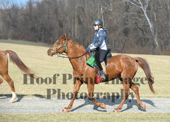 Chesapeake(4-4-15)0076