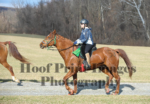 Chesapeake(4-4-15)0077