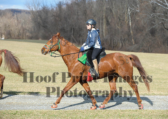 Chesapeake(4-4-15)0078