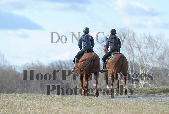 Chesapeake(4-4-15)0079