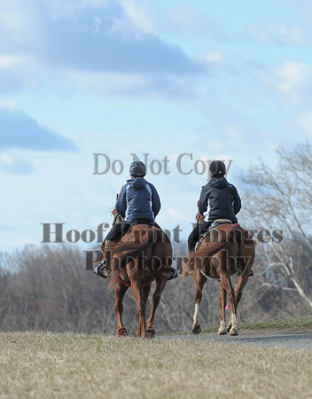 Chesapeake(4-4-15)0080