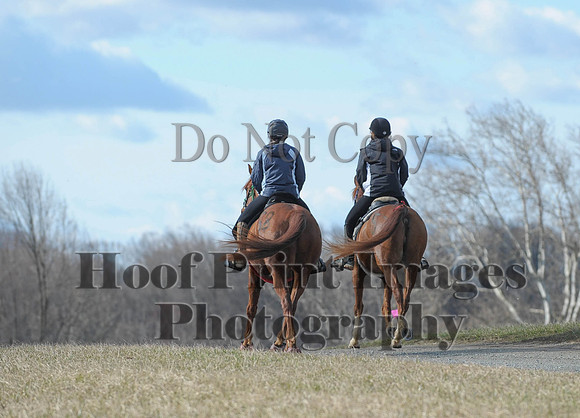 Chesapeake(4-4-15)0081