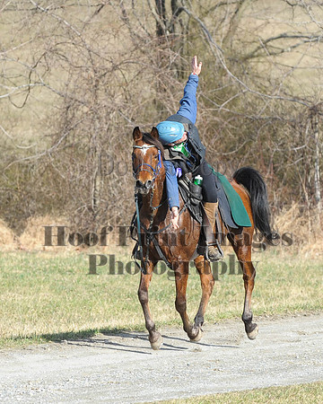 Chesapeake(4-4-15)0083