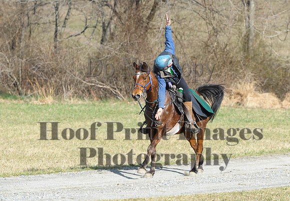 Chesapeake(4-4-15)0084