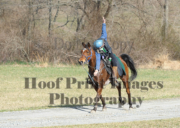 Chesapeake(4-4-15)0085