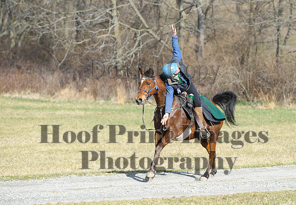 Chesapeake(4-4-15)0086
