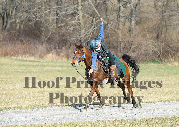 Chesapeake(4-4-15)0087