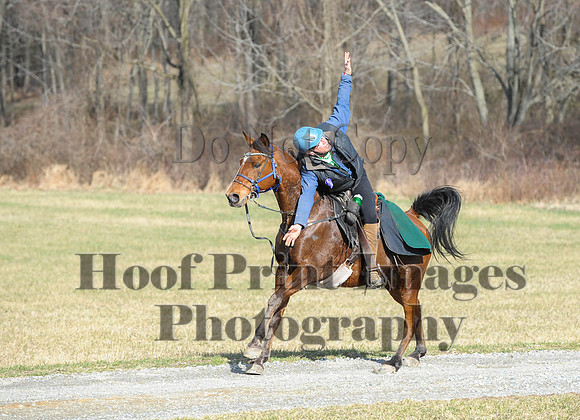 Chesapeake(4-4-15)0088