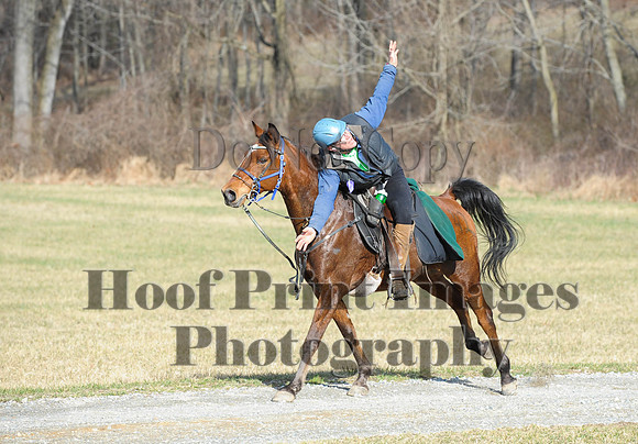 Chesapeake(4-4-15)0089