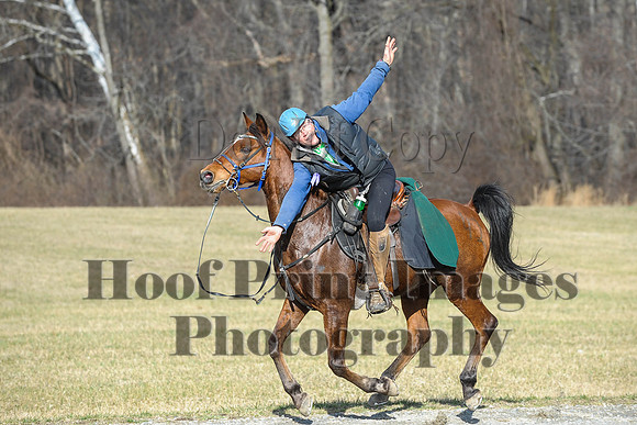 Chesapeake(4-4-15)0092
