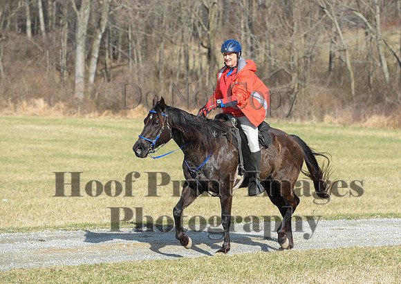 Chesapeake(4-4-15)0094